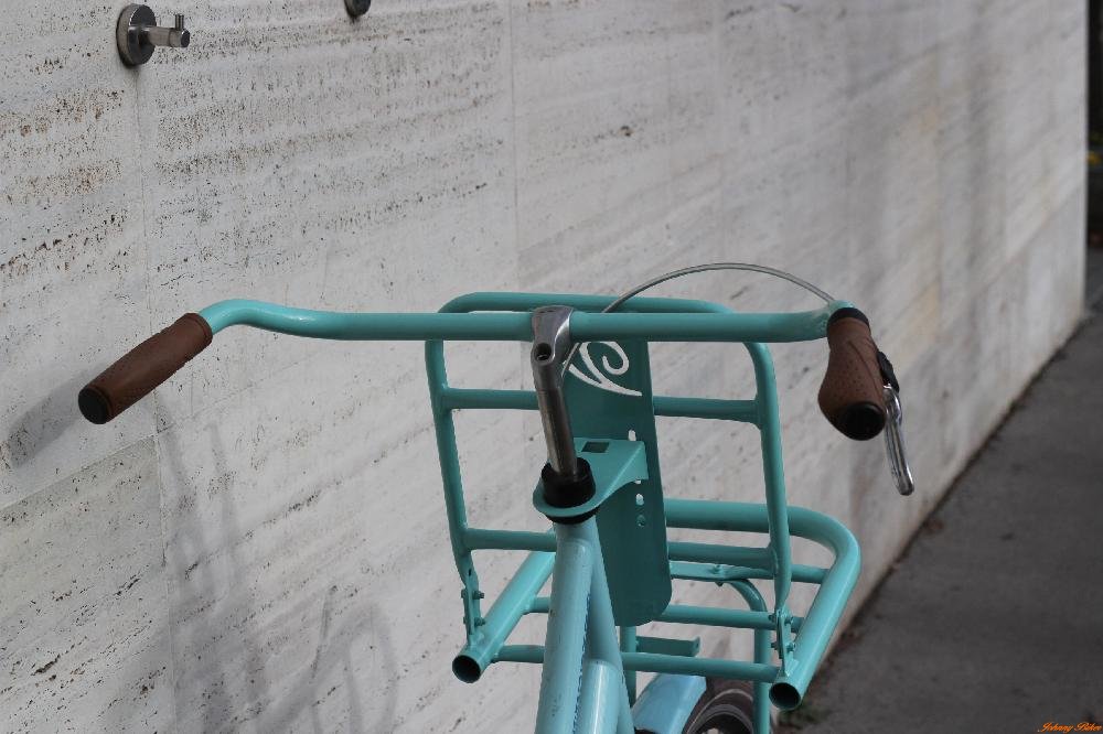 Használt Dutch Női kerékpár Vouge Transporter(51cm acél)