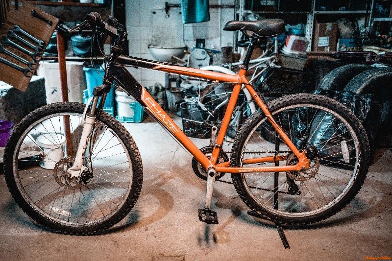 ÚJRASZÍNEZETT NŐI HATTYÚVÁZAS VÁZ JOHHNYBIKER CUSTOME GOLD SZÍNBEN (48CM)