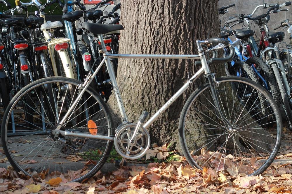 Használt Verseny kerékpár Torino Classic(60cm)